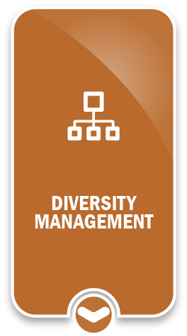 Image of white graphic on orange background. Title. Diversity management.