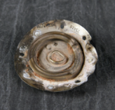 A small, circular, and heavily damaged piece of metal with concentric rings, likely a fragment from wreckage.