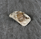 The back of a small, irregularly shaped metal fragment showing a rusted clip.