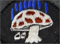 A close-up of a circular, black embroidered patch featuring a large white and brown mushroom with blue vertical lines raining down on it. 