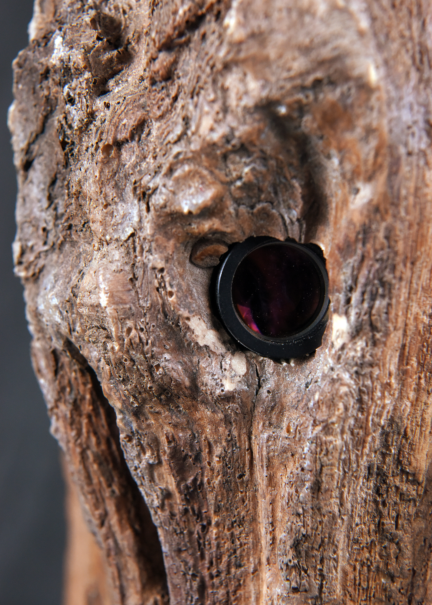 A close-up photograph of a dark, circular hole embedded in a rough, textured surface that resembles weathered wood or rock.