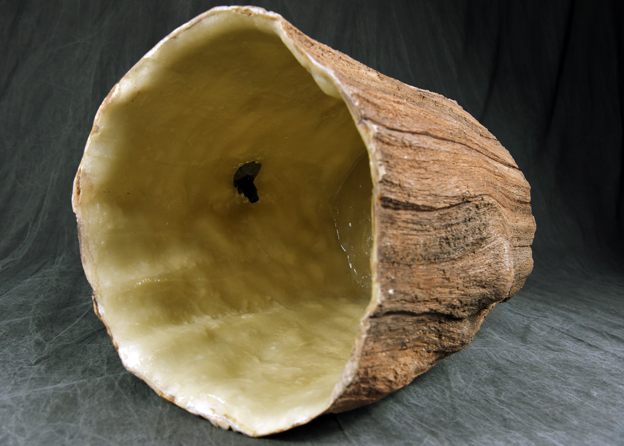 An object with a rough, brown, bark-like exterior and a smooth, light-yellow, funnel-shaped interior.