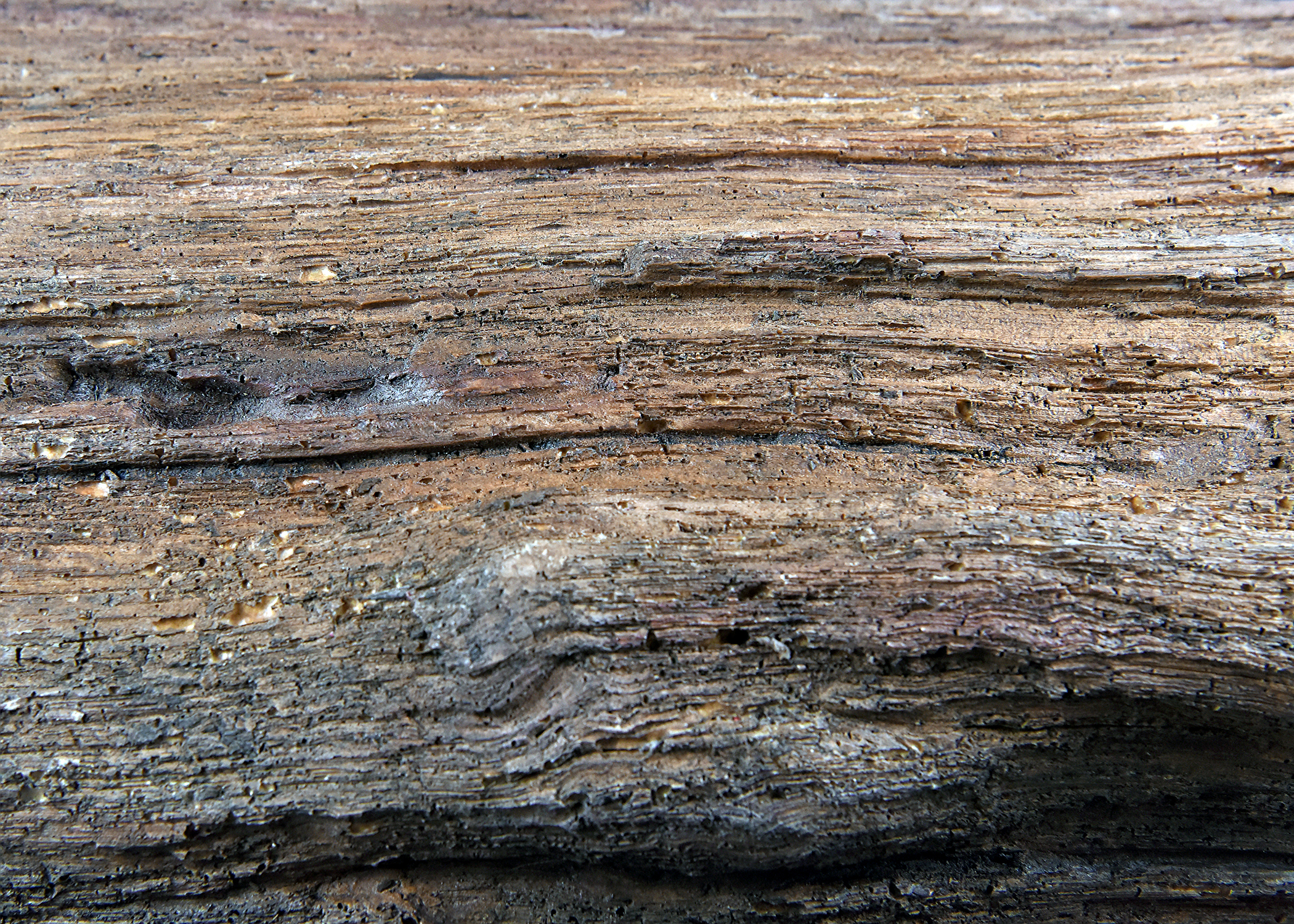 A close-up, detailed photograph of a surface with a pronounced, horizontal wood grain texture, showing variations in color and roughness.