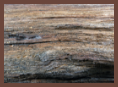 A detailed close-up of the realistic, textured bark exterior of a tree stump concealment device.