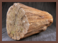 A view of the cut end of a tree stump concealment device, showing simulated growth rings for a realistic appearance.