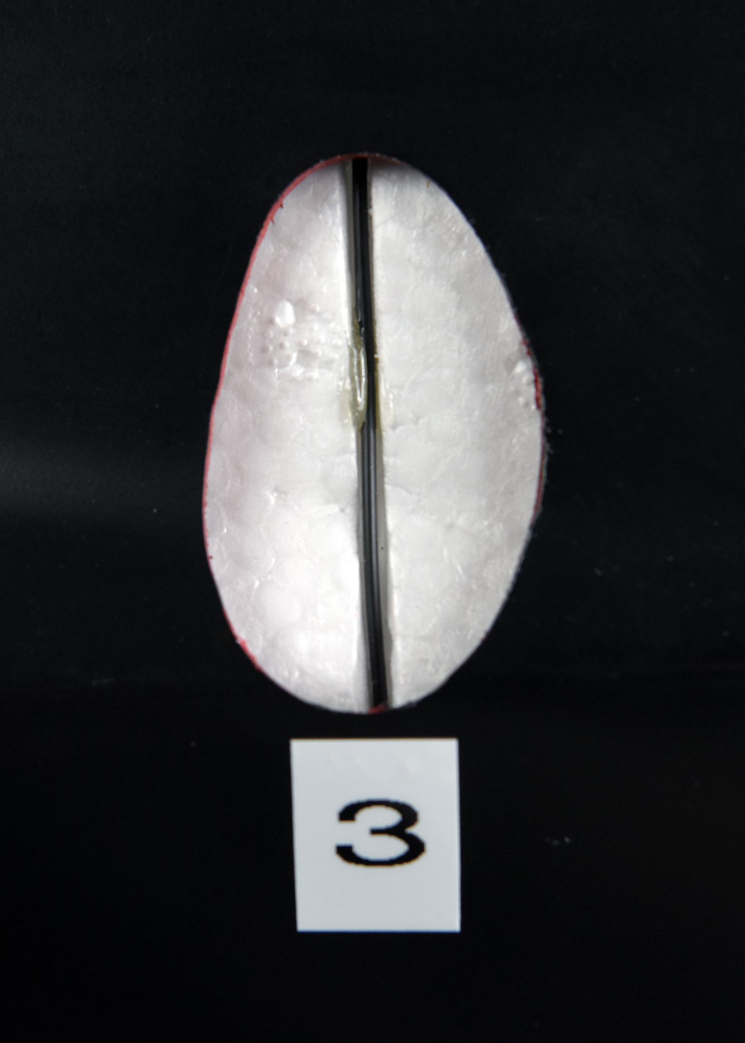 A white rectangular label with the number 3 printed on it, set against a black background. The tip of a white, pointed object with a black center line is visible at the top of the frame.