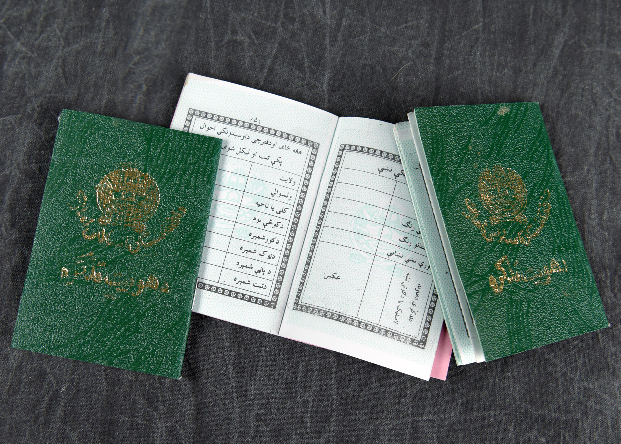 Image of 3 green passport books, one is open in the middle revealing its contents.