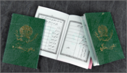Image of 3 green passport books, one is open in the middle revealing its contents.
