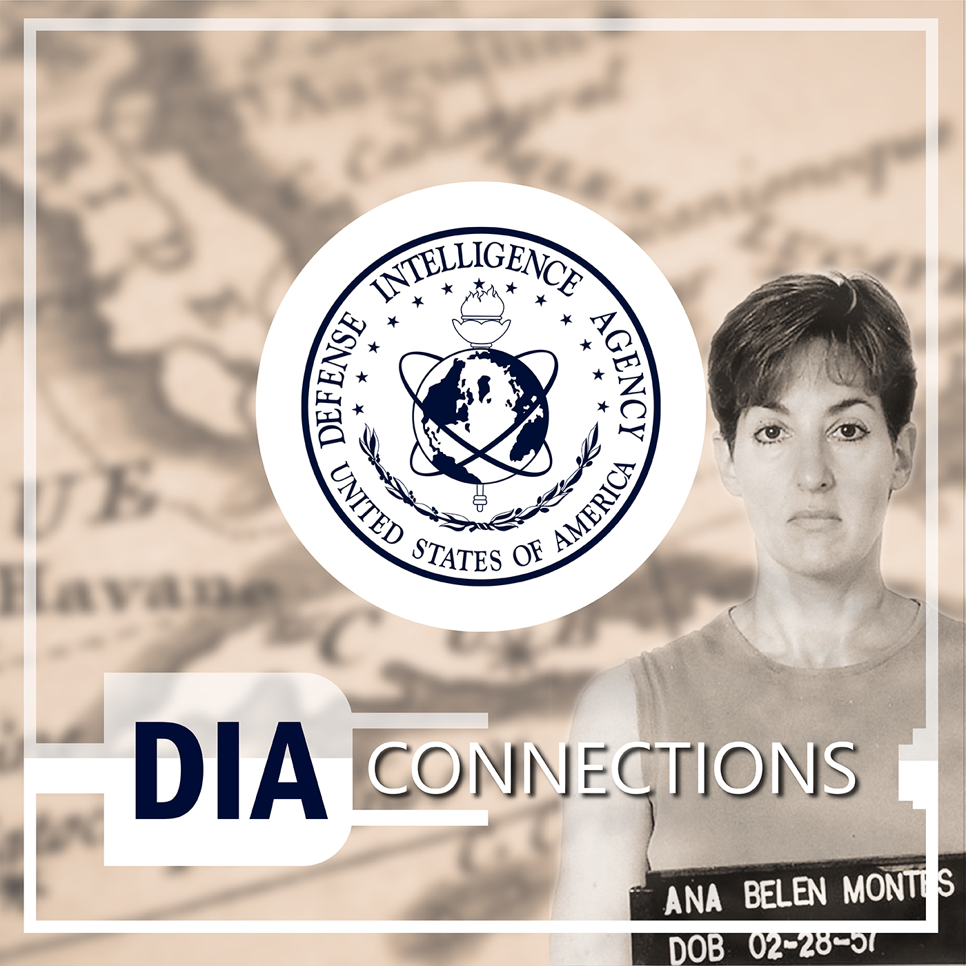 Image of woman with D-I-A Seal and title. D-I-A Connections.