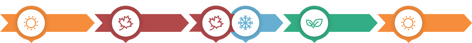 Image of seasonal arrows